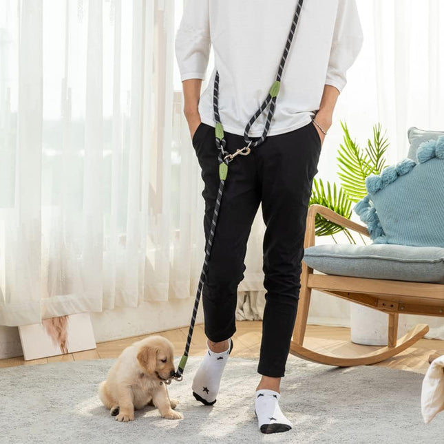 ActivePaw Multi-Function Leash