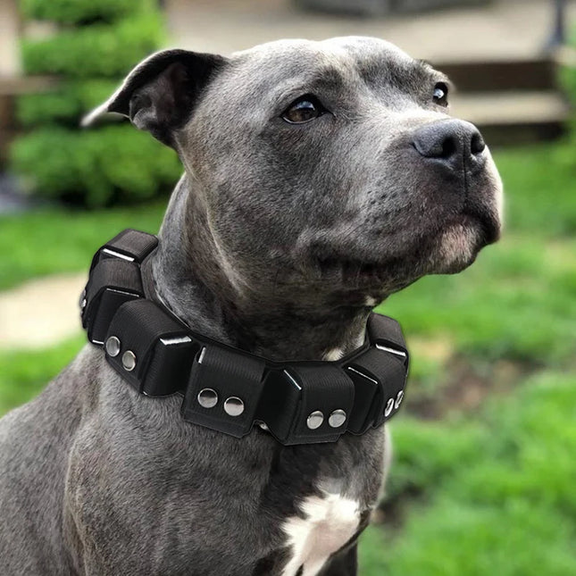 TacticalK9™️ Large Dog Training Collar