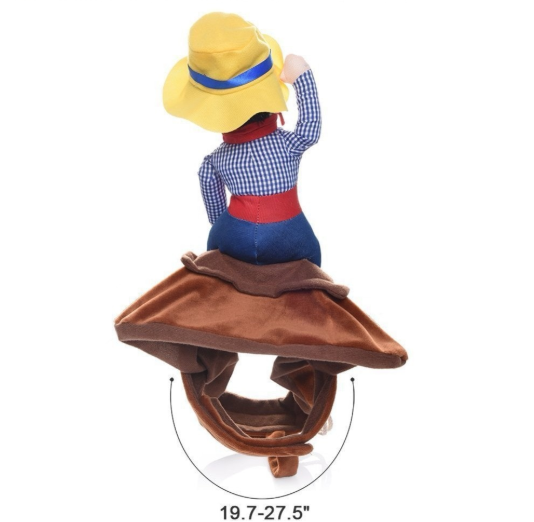 Rodeo Cowboy Pet Costume