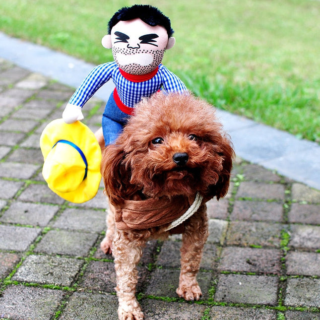 Rodeo Cowboy Pet Costume